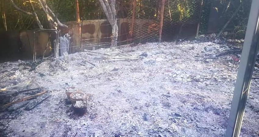 Rogo alla colonia felina: distrutti i rifugi dei gatti