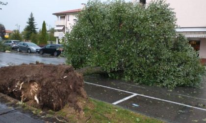 Maltempo: tetti scoperchiati dal vento in Lombardia, nubifragi in Piemonte