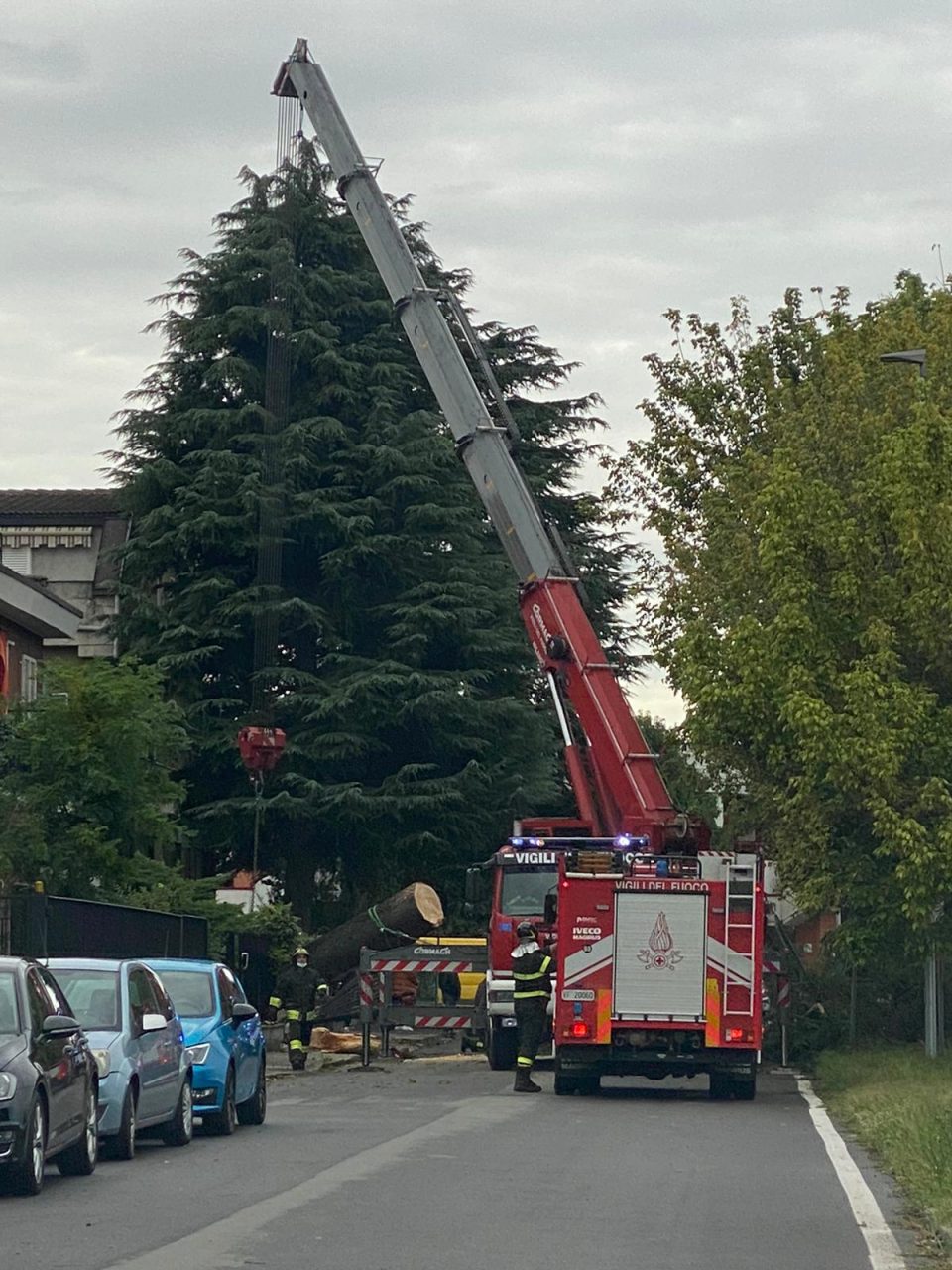 maltempo albero cade strada