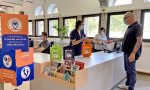 La biblioteca riapre in sicurezza e con un nuovo stile