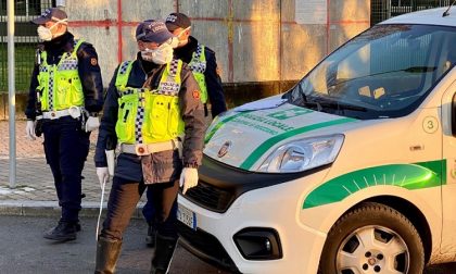 Furto di un furgone pieno di attrezzi da lavoro, la polizia locale lo ritrova al campo rom