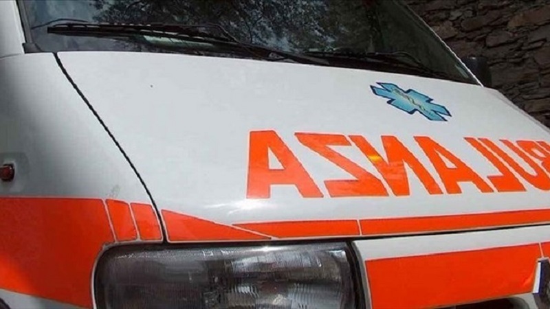 Litigio tra cani, ferita una ragazza di 17 anni