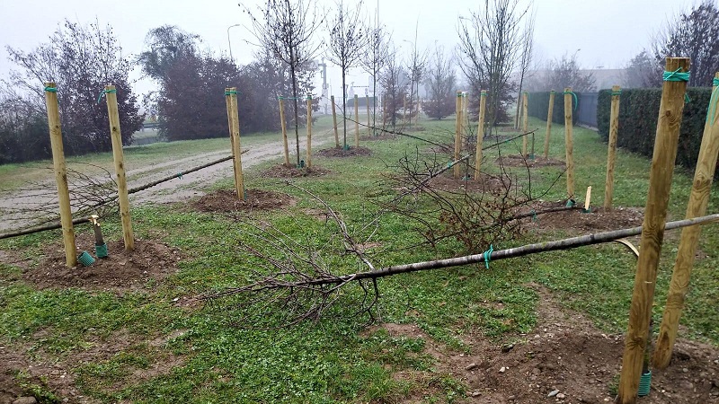 Giardino Nuovi Nati distrutto