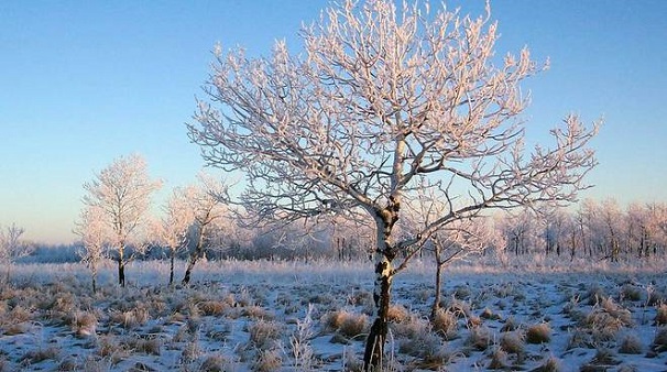 Previsioni Meteo Milano | Neve a Capodanno? Forse, ma nel caso pochissimi centimetri