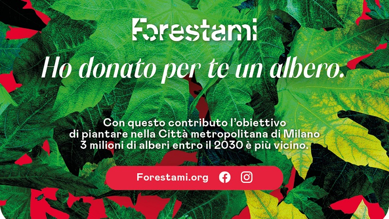 “A Natale regala un albero”, la proposta di ForestaMi