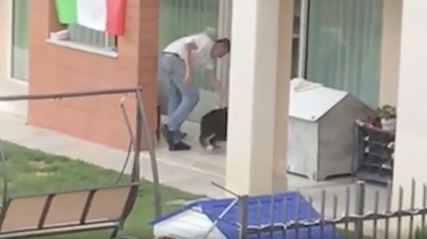 Maltratta il cane, arriva la denuncia ma il tribunale gli restituisce il cucciolo