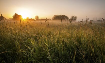 Tempo stabile e soleggiato con temperature in graduale risalita | Meteo Lombardia