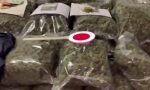 Nasconde in cascina 34 chili di marijuana: arrestato 31enne