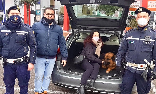 Pastore tedesco sparisce da una villa, la polizia locale lo ritrova nel campo rom