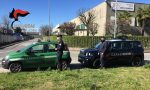Moria di gabbiani nella zona industriale, intervengono i carabinieri