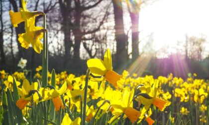 Previsioni meteo di Pasqua e Pasquetta: sole e nuvolosità variabile in Lombardia