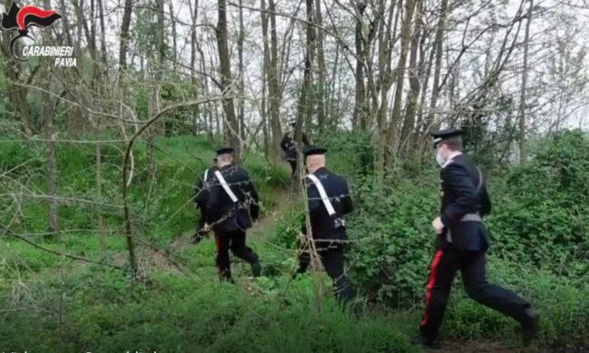 Spaccio nelle campagne della Lomellina: arresti anche a Corsico