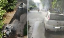 Vandali danno fuoco ai "piumini" dei pioppi: tre auto divorate dalle fiamme