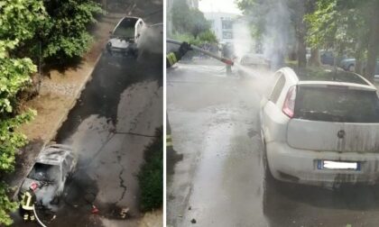 Vandali danno fuoco ai "piumini" dei pioppi: tre auto divorate dalle fiamme