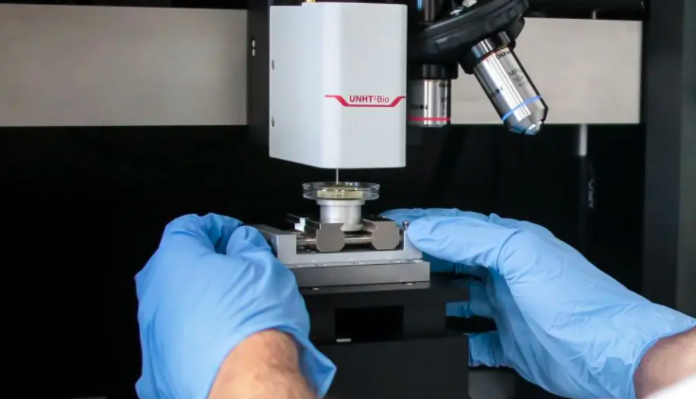 In Humanitas il laboratorio di ricerca per creare il pancreas artificiale