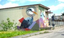 La città si colora con la street art: un airone disegnato sul Naviglio di Corsico