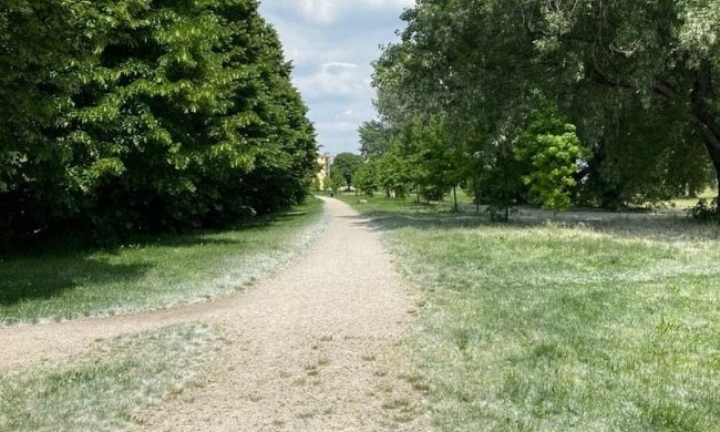 Il parco Travaglia si rinnova grazie al finanziamento per la forestazione urbana