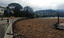 La foto shock del lago di Como sommerso da detriti dopo il maltempo