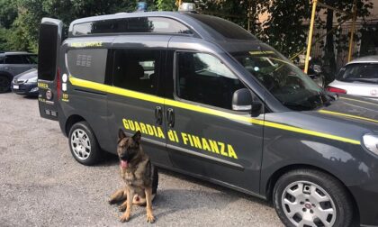 Due arresti per traffico di droga, fondamentale il lavoro della polizia locale di Cesano