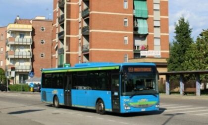 Trasporto a Trezzano, partono i bus Stav (ora gratis anche per gli studenti)