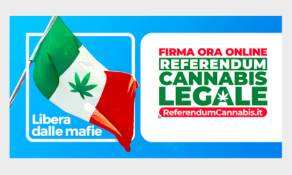 Referendum cannabis: Justmary partner di MeglioLegale nella raccolta firme.