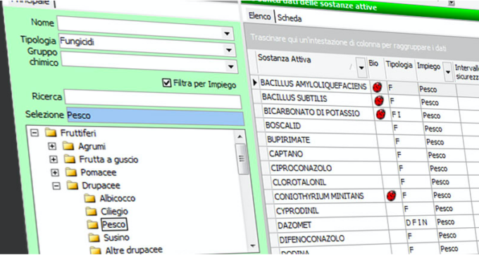 Ultima settimana per ottenere la prova gratuita delle banche dati BDF