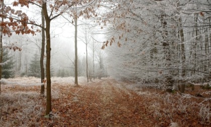 Torna l'alta pressione: niente neve per almeno 10 giorni | Meteo Lombardia