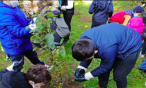 A Trezzano 100 nuovi alberi piantati dagli alunni della scuola Giacosa