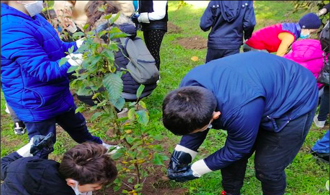 A Trezzano 100 nuovi alberi piantati dagli alunni della scuola Giacosa