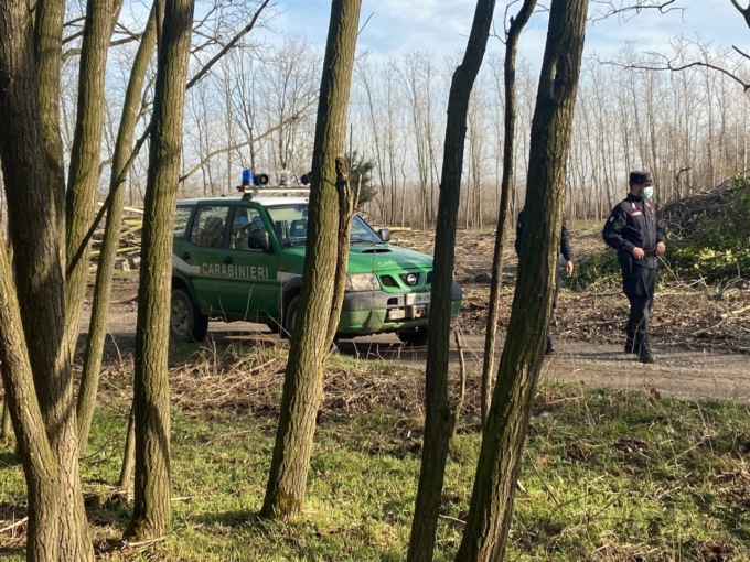 Bracconaggio, i carabinieri sequestrano 81 allodole usate come richiami