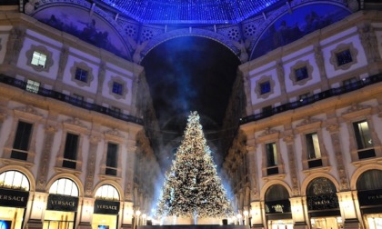 Dal Duomo a City Life: torna a Milano il "Natale degli Alberi"