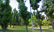 "Alberi pericolosi": 21 esemplari abbattuti al parco Robbiolo di Buccinasco