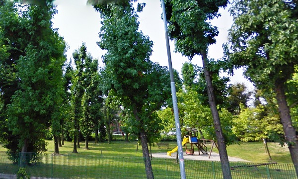 “Alberi pericolosi”: 21 esemplari abbattuti al parco Robbiolo di Buccinasco