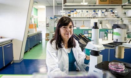 Promuovere gli studi scientifici tra le ragazze: a Buccinasco l'incontro con la biochimica Adriana Albini