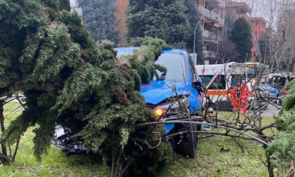 Incidente a Cesano: un'auto finisce sopra la rotonda