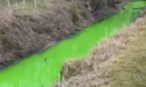 Acqua verde fosforescente nella Roggia: è allarme a Rozzano, ma una spiegazione c'è