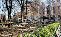 Forte vento a Milano: oltre 100 chiamate ai Vigili del Fuoco