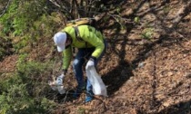 Eco-passeggiate a Trezzano