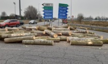 Tir perde il carico: tronchi di legname invadono la rotonda della Sp121