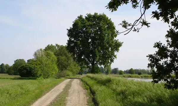 Gestione Parco Sud, la Lega risponde alla lettera dei sindaci: “Lavoriamo per garantire futuro dell’area”
