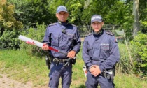 Scappa dalla polizia locale senza patente e con una mazza da baseball in auto: 5mila euro di multa