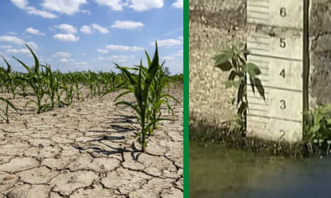 Siccità in Lombardia: perso il 30% del raccolto. Fontana: “No a sprechi di acqua”