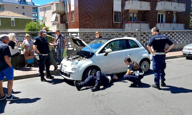 Micio incastrato sotto una ruota: lo salvano gli agenti di Buccinasco