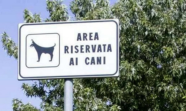 Aggressione in area cani: il padrone scappa senza prestare soccorso all’altro cagnetto ferito