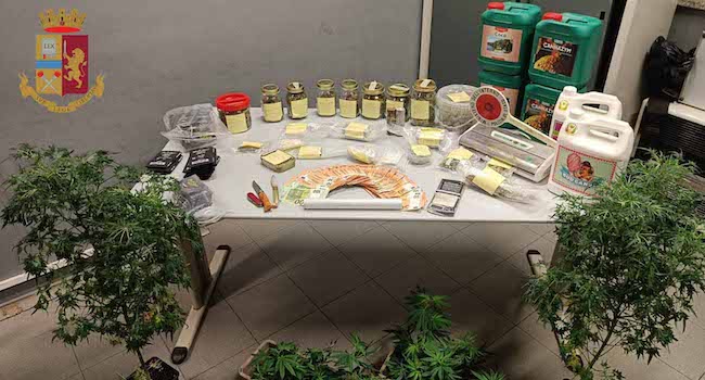 In camera da letto “dormiva” con una serra di marijuana: arrestato