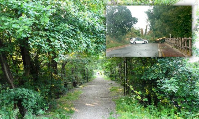 Ordinanza del sindaco: 15 giorni per sistemare il verde dell’area di via della Musica (che verrà espropriata)