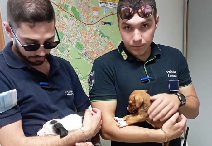Cuccioli venduti illegalmente: fermati a Rozzano grazie agli agenti in borghese