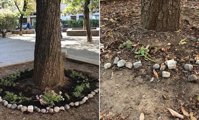La battaglia d’agosto delle fioriere a Corsico: la guerra al guerrilla gardening