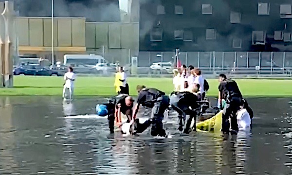 Denunciati per invasione di terreni gli attivisti di Greenpeace in protesta in Fiera
