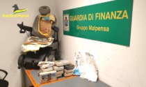 Cane antidroga fiuta 14 chili di cocaina a Malpensa, arrestato finto disabile in carrozzina